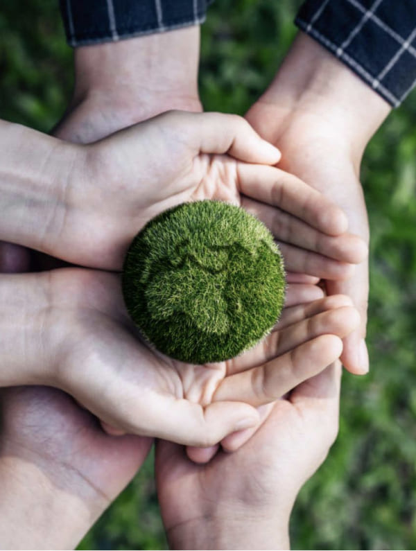 Annual & sustainability reports